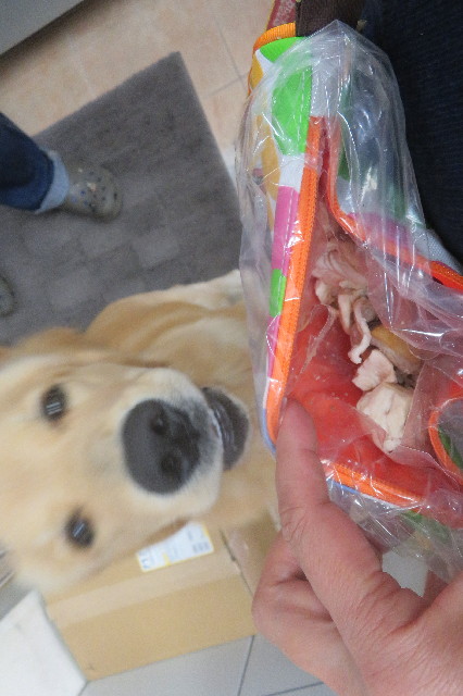 ファイル 6794-1.jpg