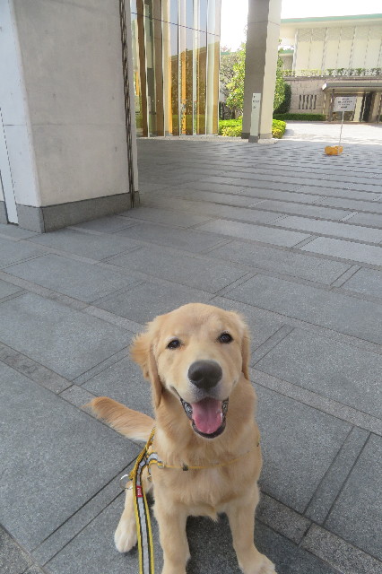 ファイル 6794-3.jpg