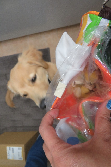 ファイル 6795-3.jpg