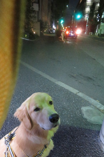 ファイル 6796-4.jpg