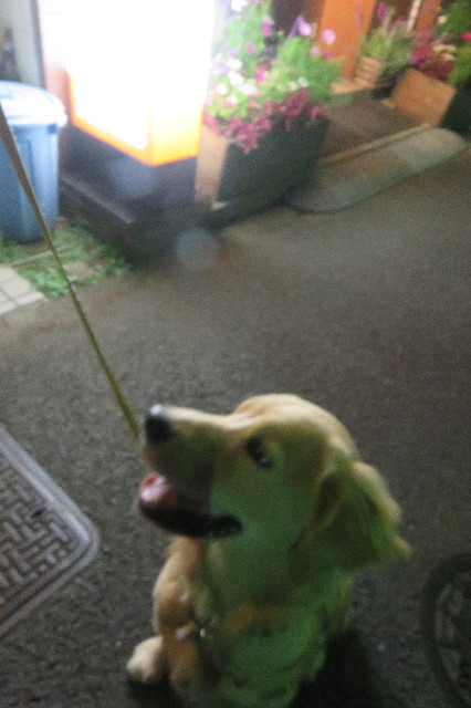 ファイル 6797-1.jpg