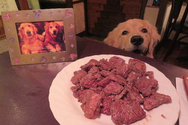 ファイル 6797-2.jpg