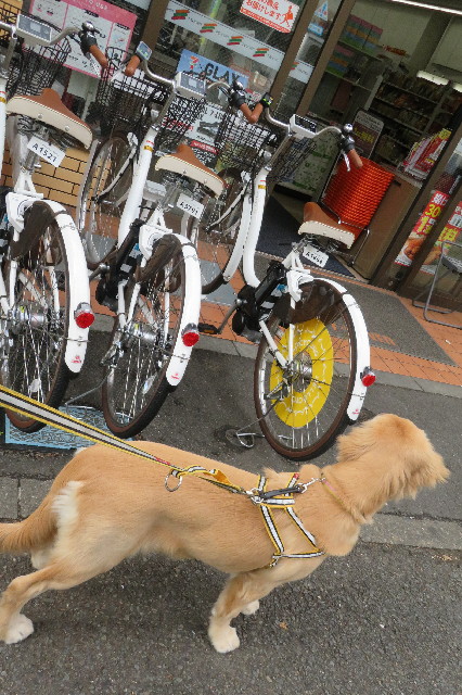 ファイル 6798-2.jpg