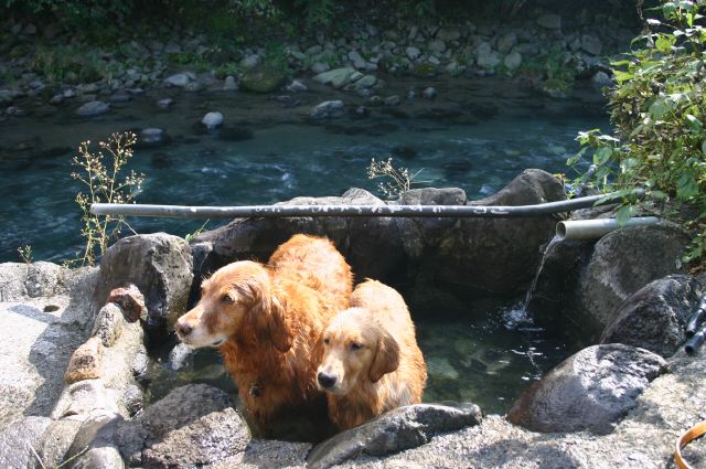 ファイル 68-4.jpg