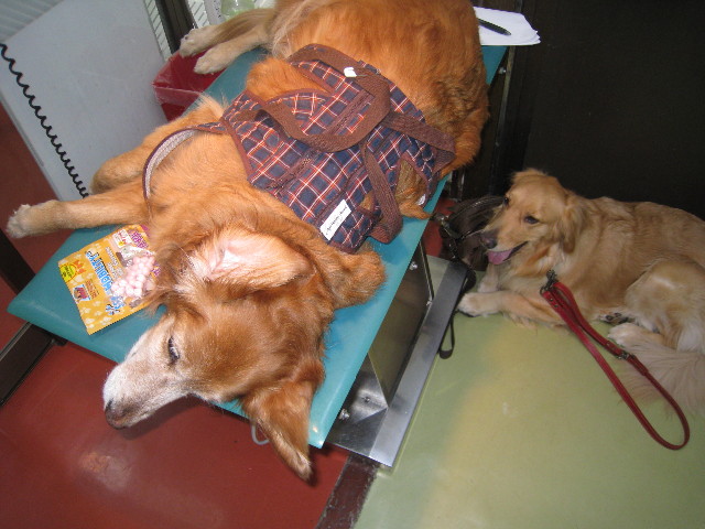 ファイル 680-2.jpg