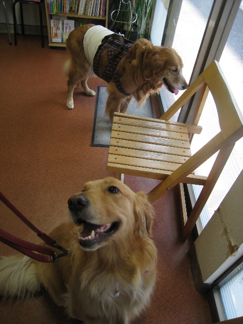 ファイル 680-4.jpg