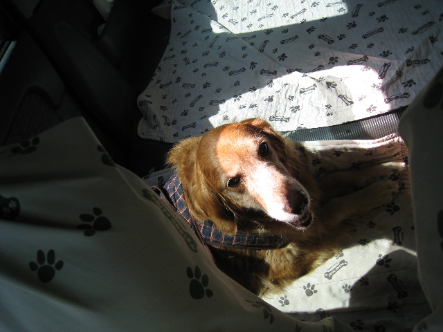 ファイル 680-5.jpg