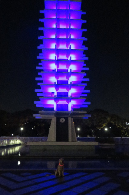 ファイル 6800-4.jpg