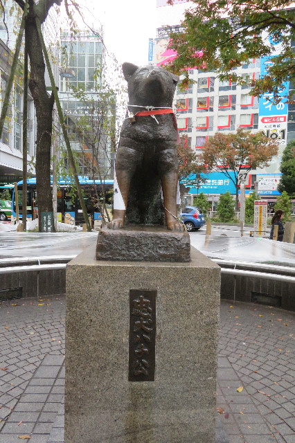 ファイル 6801-5.jpg