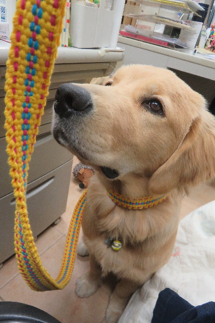 ファイル 6804-4.jpg