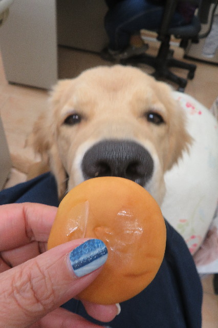 ファイル 6804-5.jpg