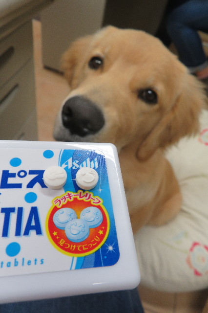 ファイル 6805-3.jpg