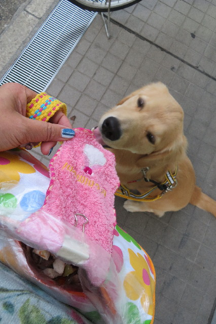 ファイル 6806-3.jpg