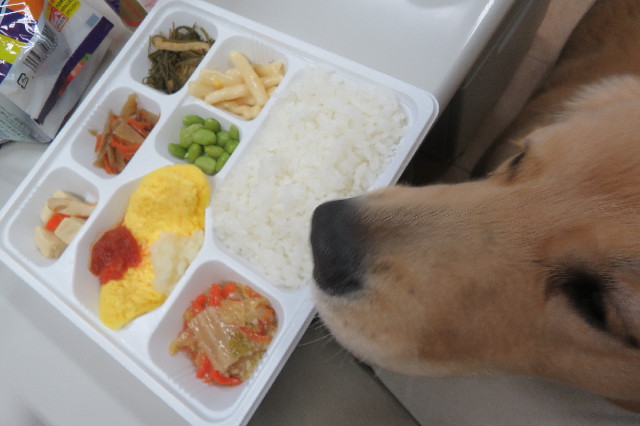 ファイル 6808-3.jpg