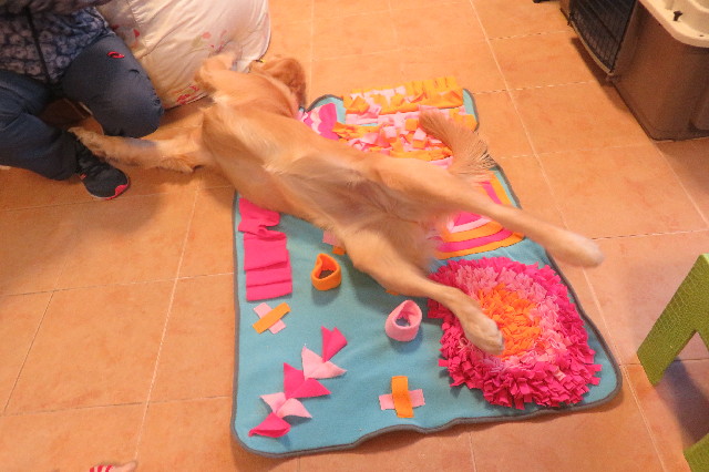 ファイル 6808-5.jpg