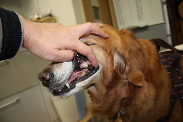 ファイル 681-3.jpg