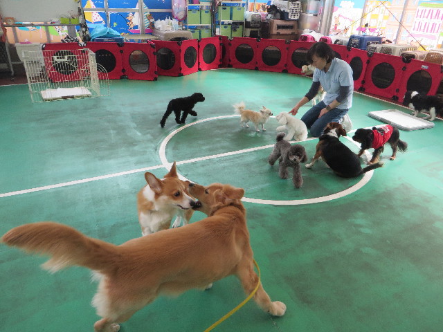 ファイル 6810-2.jpg