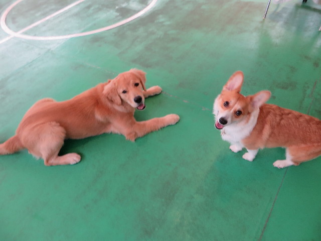 ファイル 6810-3.jpg