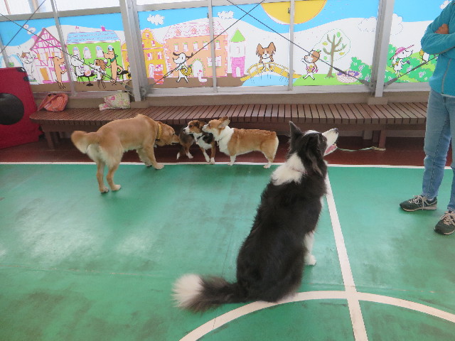 ファイル 6810-4.jpg