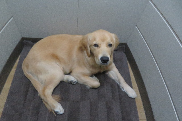 ファイル 6810-5.jpg