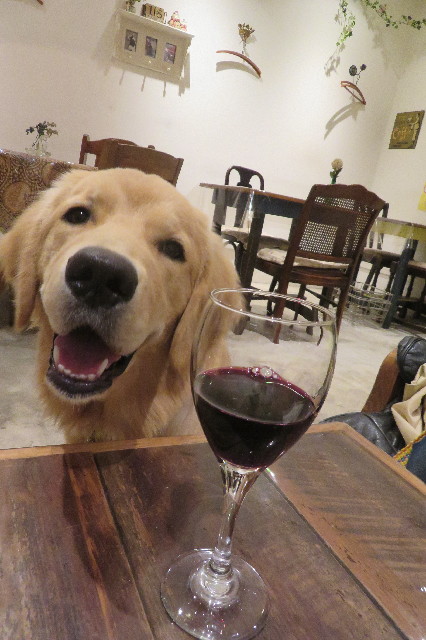 ファイル 6811-1.jpg