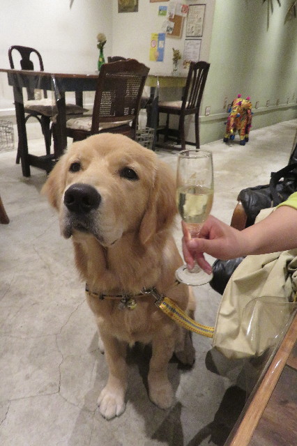 ファイル 6811-3.jpg