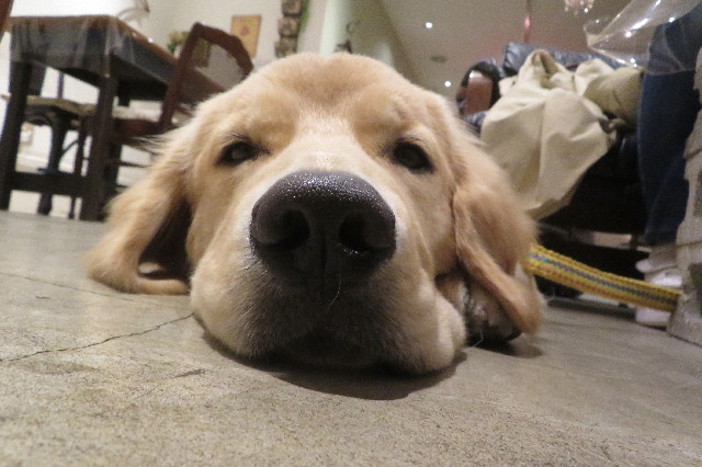 ファイル 6811-4.jpg