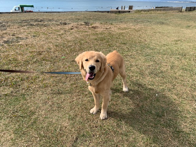 ファイル 6813-3.jpg