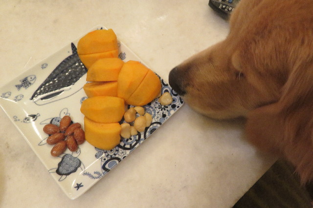 ファイル 6815-4.jpg