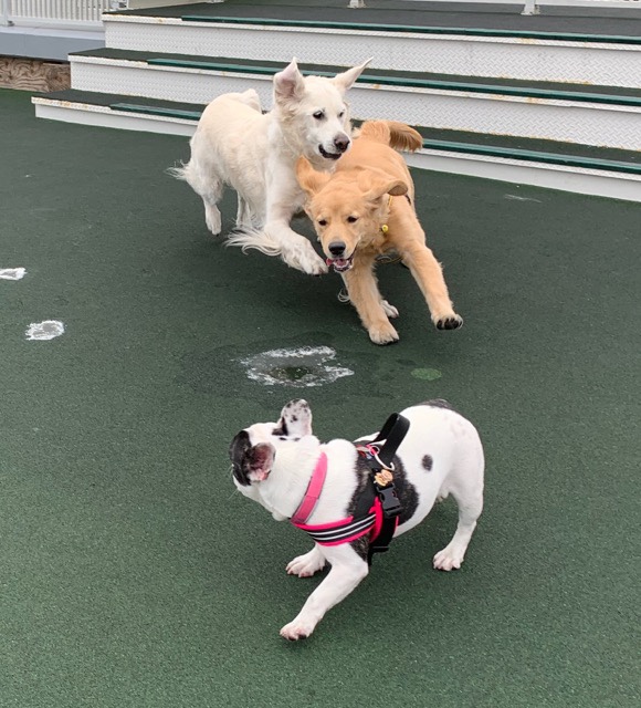 ファイル 6816-3.jpg