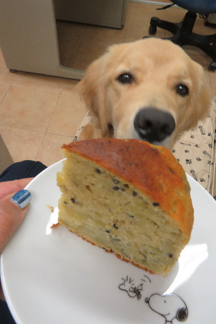 ファイル 6818-2.jpg