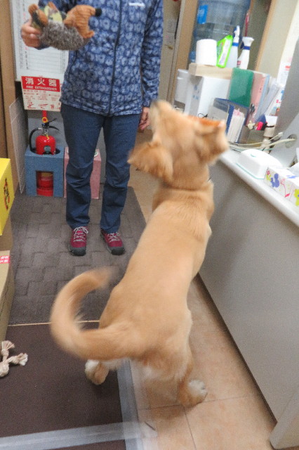 ファイル 6819-4.jpg