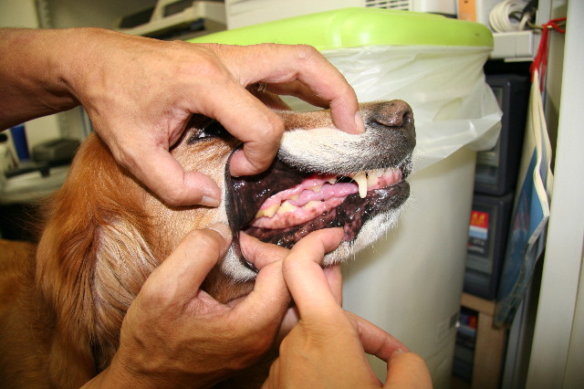 ファイル 682-3.jpg