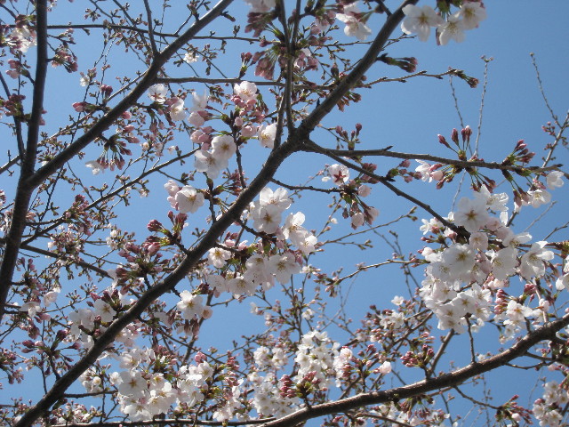 ファイル 682-4.jpg