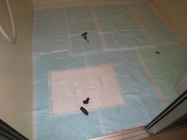 ファイル 682-5.jpg