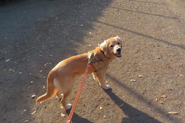 ファイル 6820-2.jpg