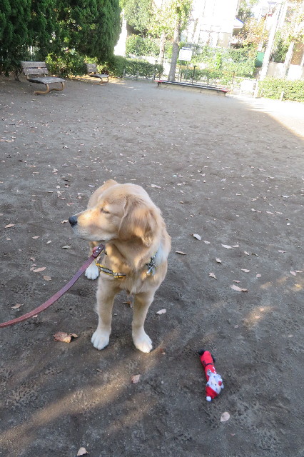 ファイル 6820-3.jpg