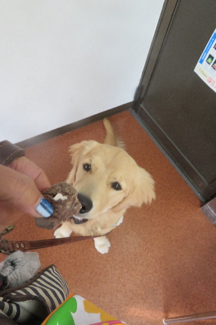 ファイル 6822-2.jpg