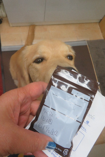 ファイル 6822-3.jpg