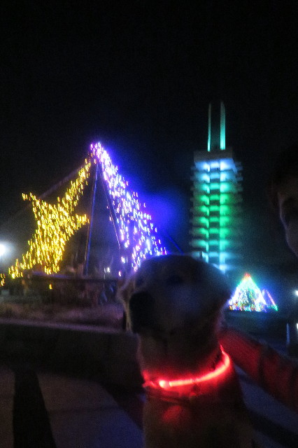 ファイル 6825-1.jpg