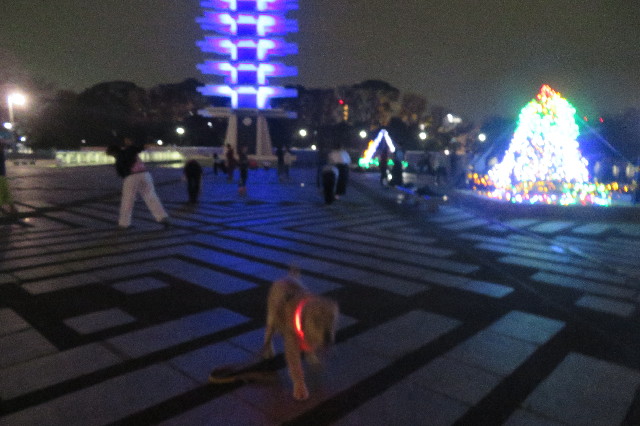 ファイル 6826-2.jpg