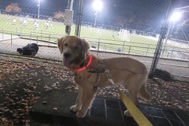 ファイル 6826-3.jpg