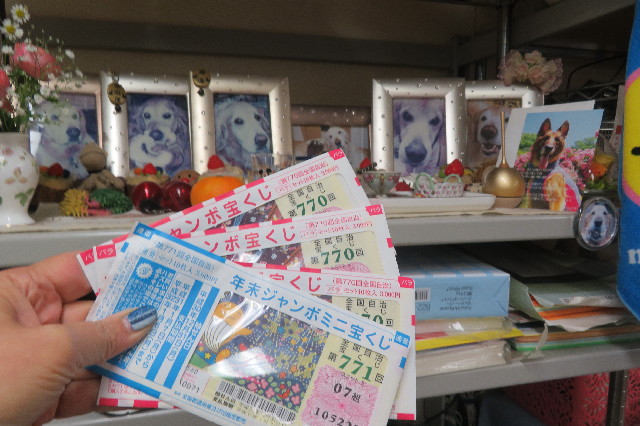 ファイル 6829-4.jpg