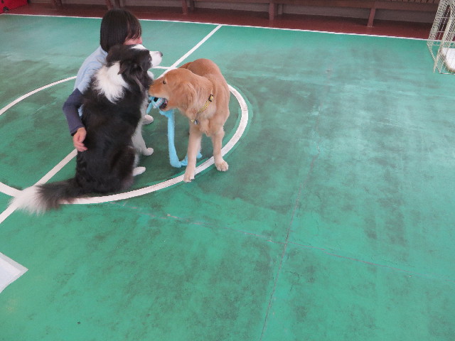 ファイル 6833-1.jpg