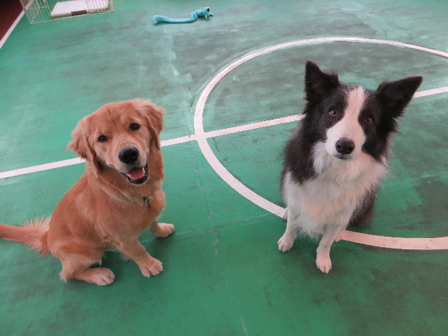 ファイル 6833-2.jpg