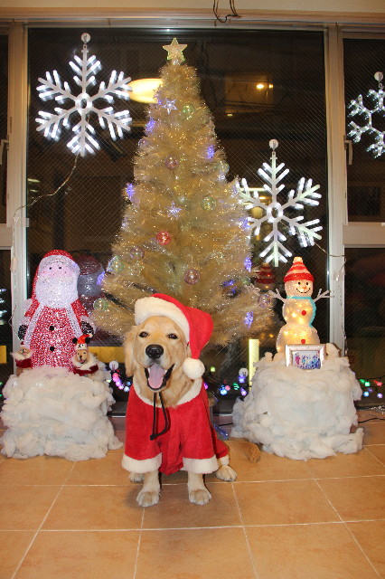 ファイル 6834-1.jpg