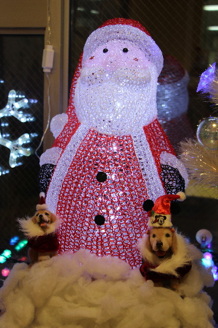 ファイル 6834-3.jpg