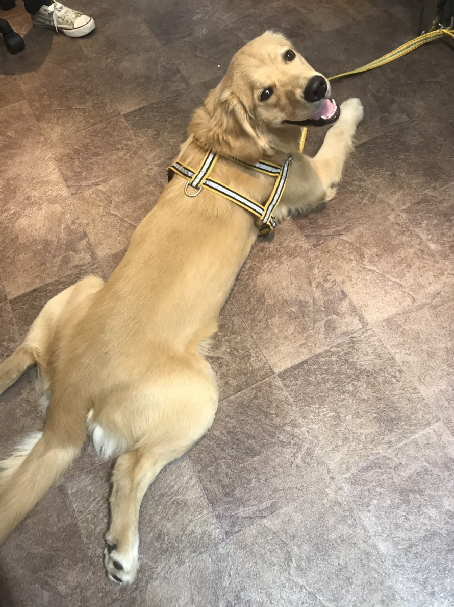 ファイル 6835-1.jpg