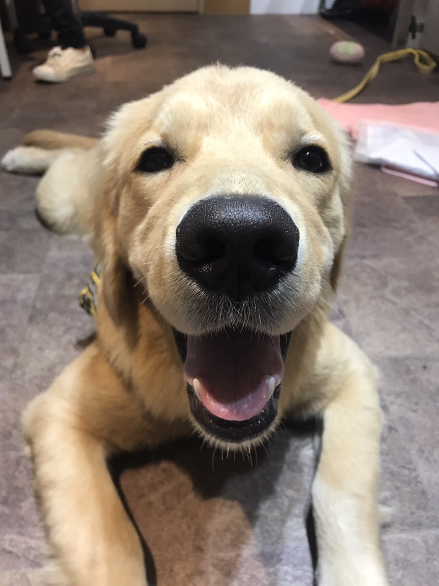 ファイル 6835-2.jpg