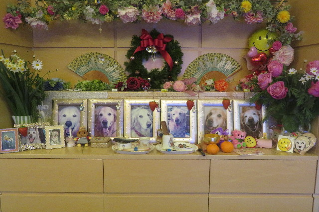 ファイル 6835-5.jpg